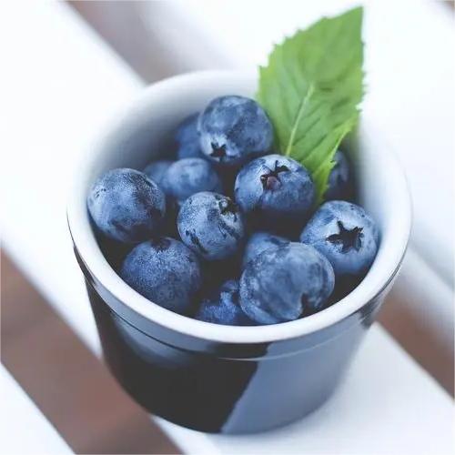 Bilberry extract